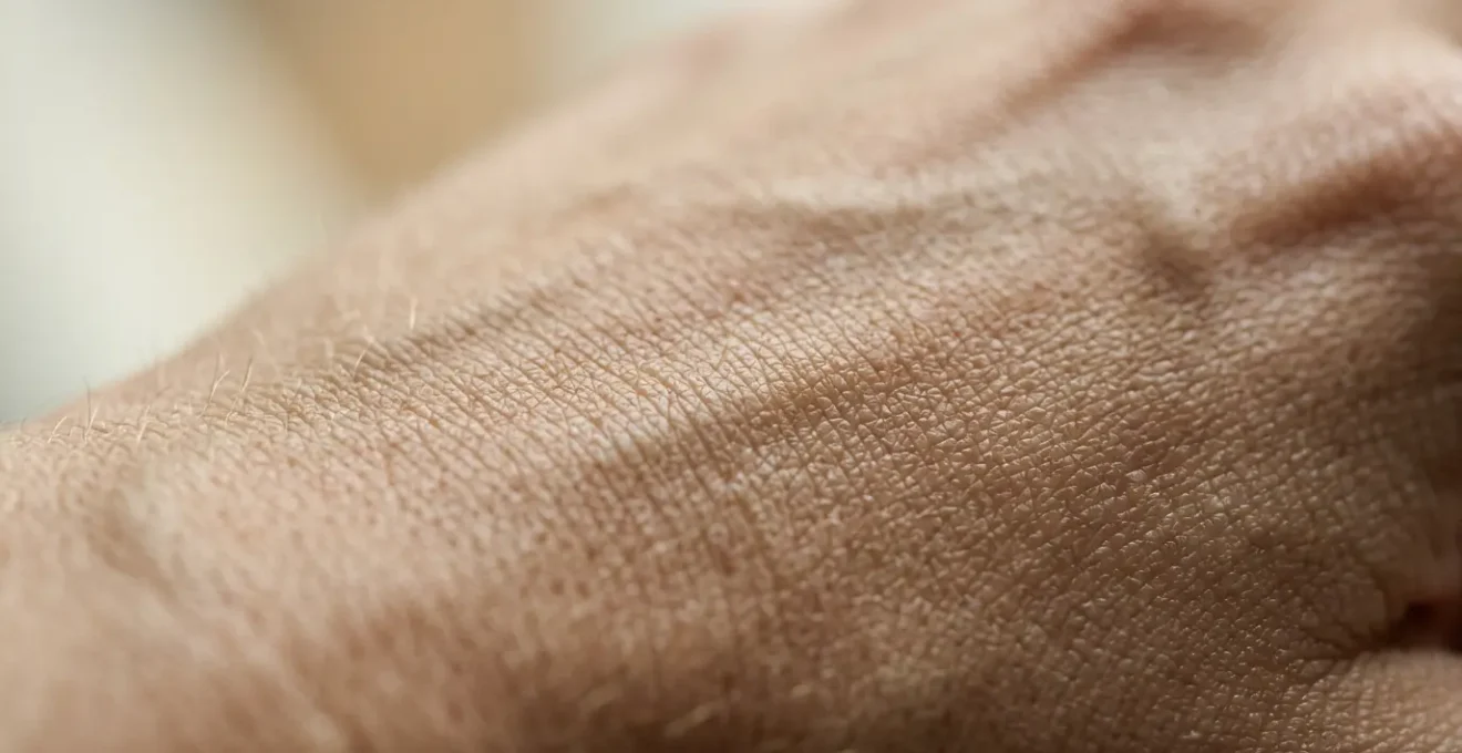 Close-up of youthful skin demonstrating natural collagen fiber network and cellular regeneration