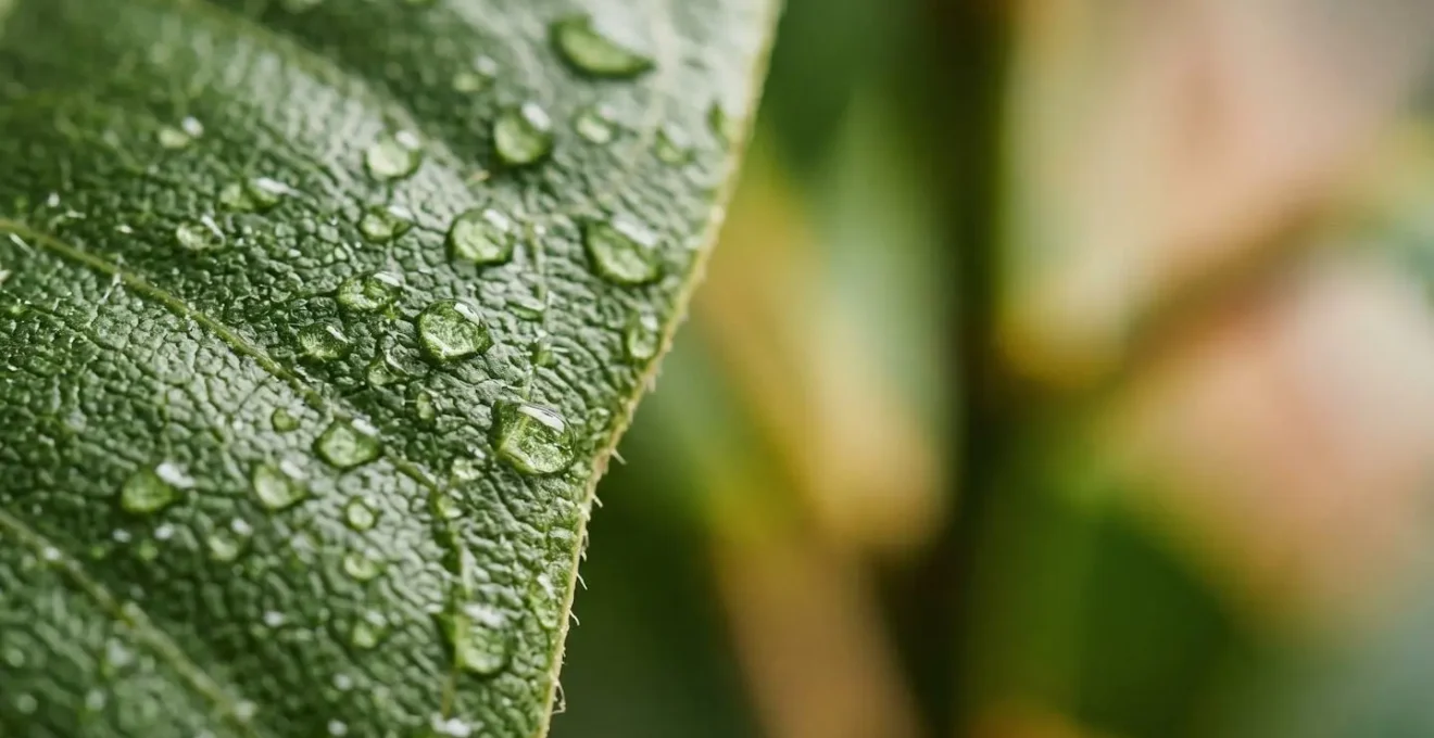Extreme macro close-up of natural botanical surface with delicate texture and water droplets