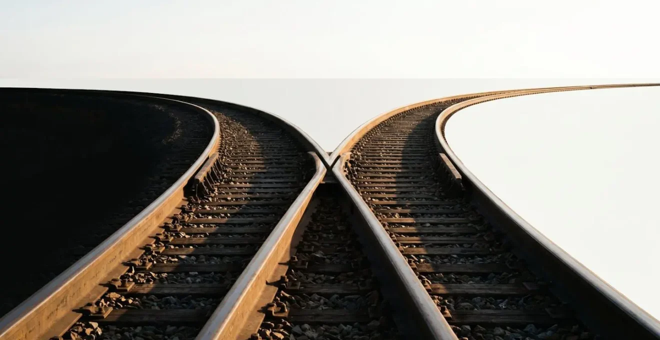 Abstract representation of diverging paths symbolizing negative correlation between assets