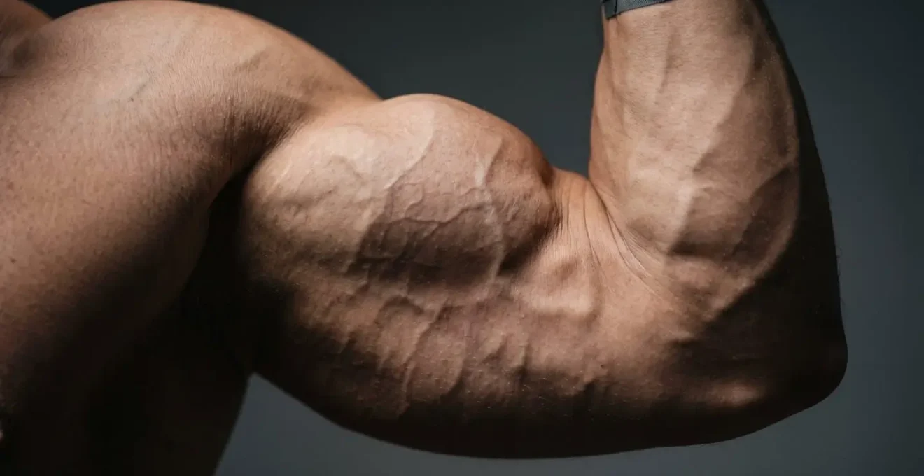 Close-up of contracted bicep muscle showing fiber definition and vascularity during peak contraction