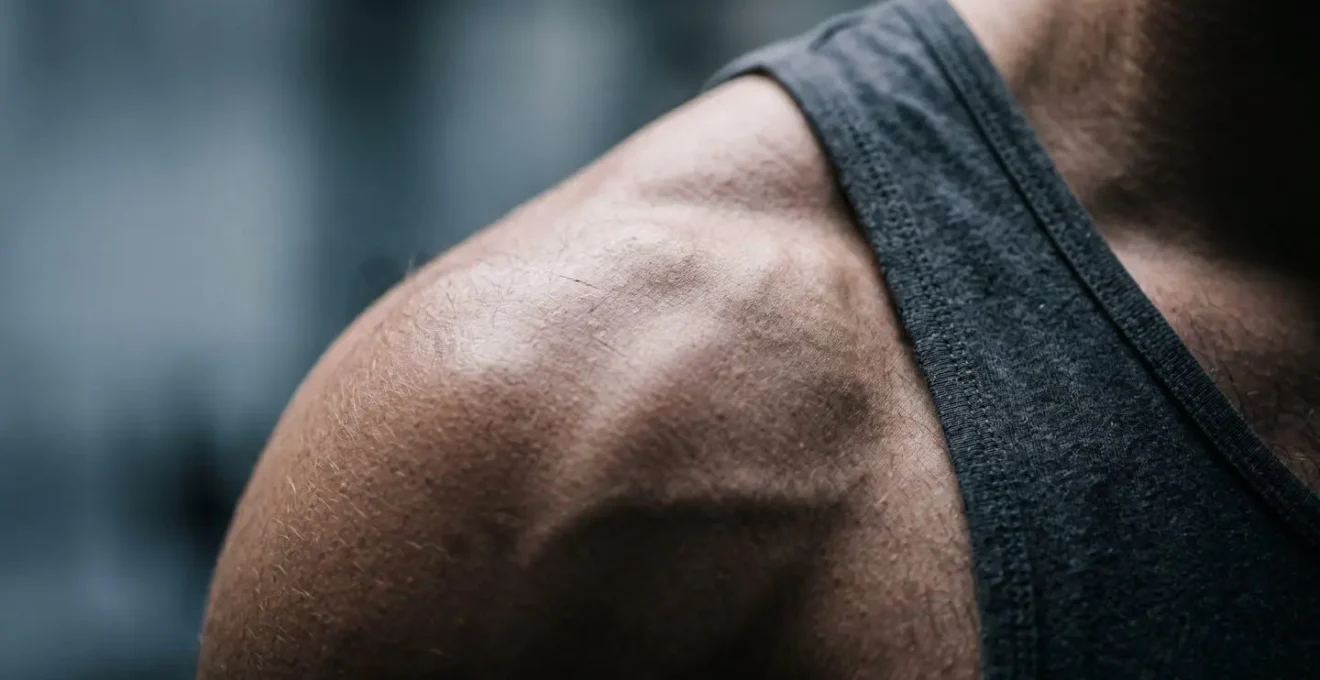 Macro detail of upper back and shoulder muscles showing tension and postural alignment