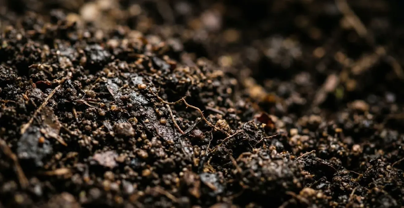 Extreme macro close-up of rich organic soil showing intricate textures and biological complexity